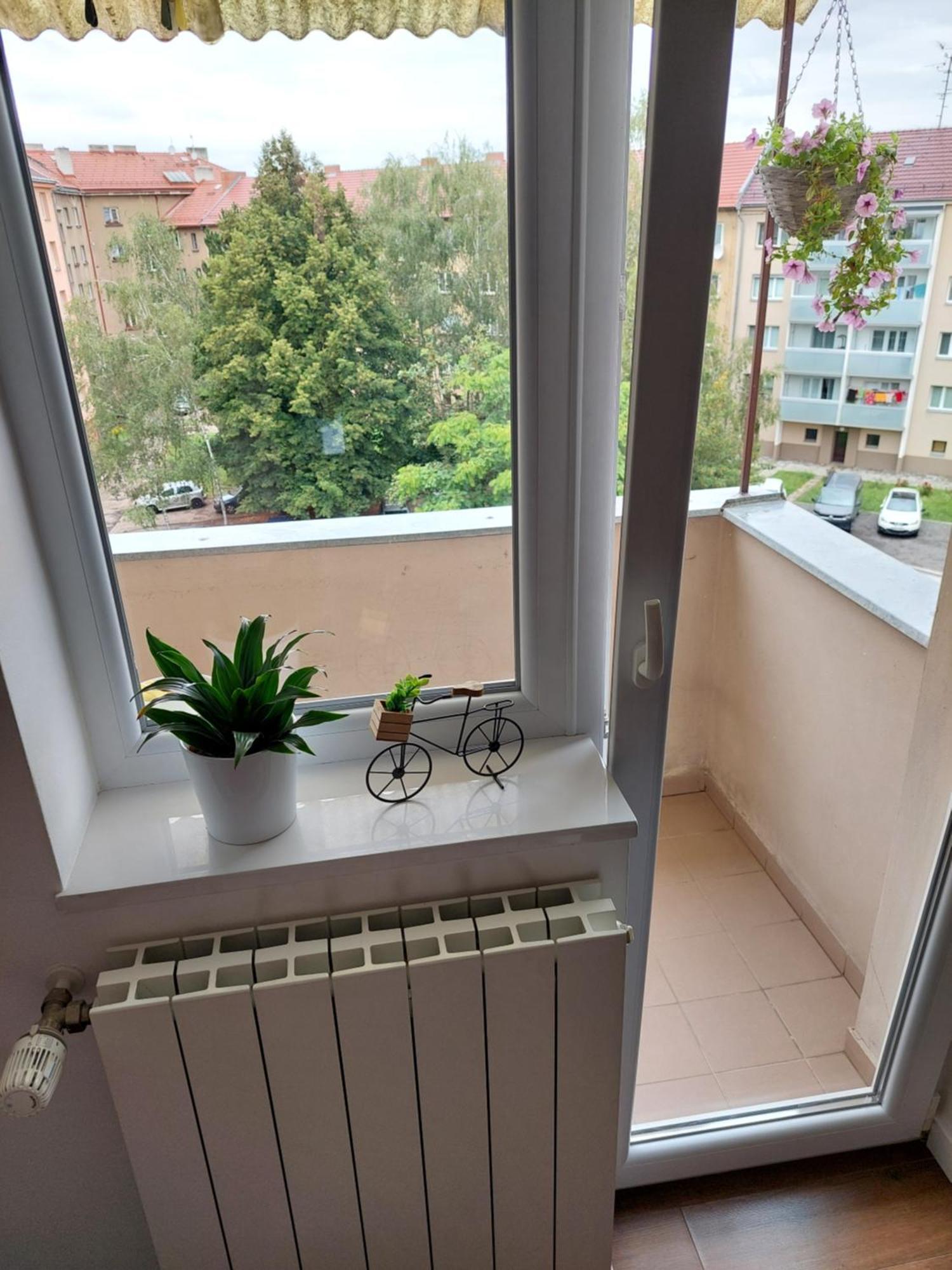 B&B Resslova Hradec Králové Extérieur photo
